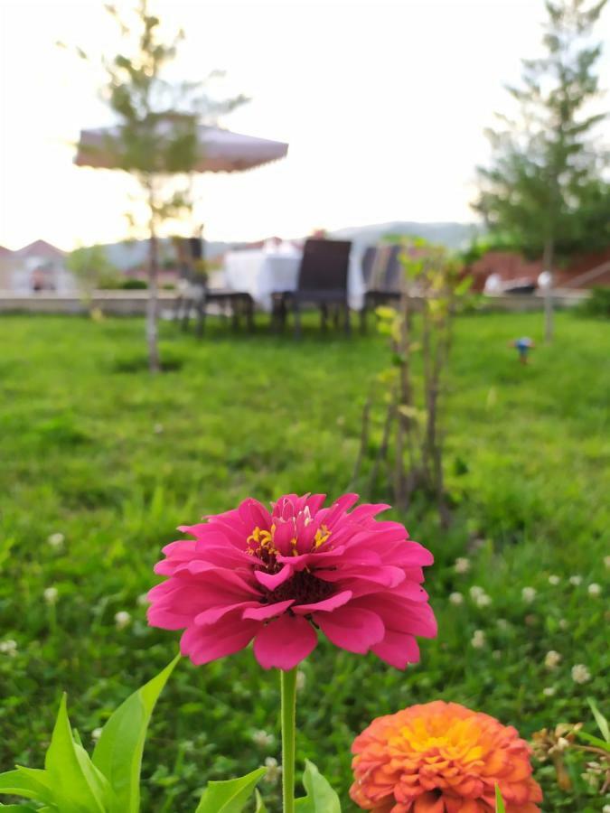 Bliss Inn Boutique Hotel Gabala Exterior photo